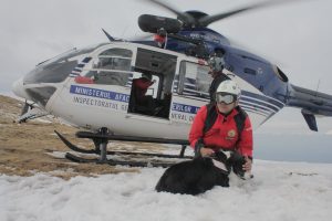 Unitățile canine de salvare